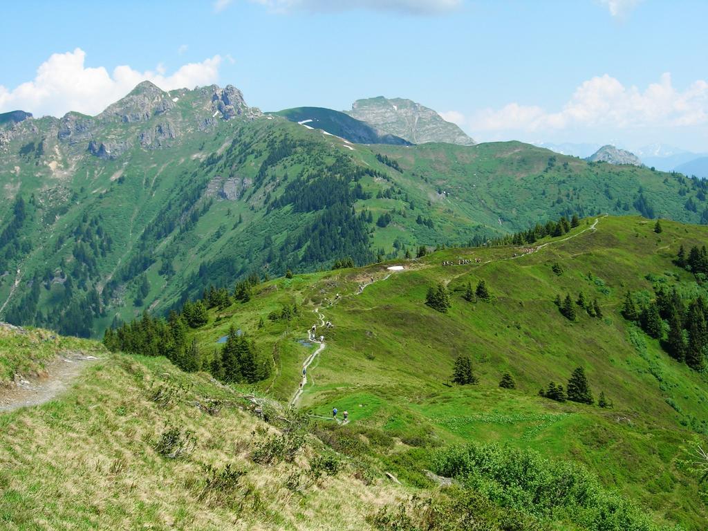 Landhotel Steindlwirt Dorfgastein Luaran gambar